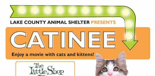 Lake County Animal Shelter Launches “Catinee,” A Monthly Movie Series For Cat Lovers