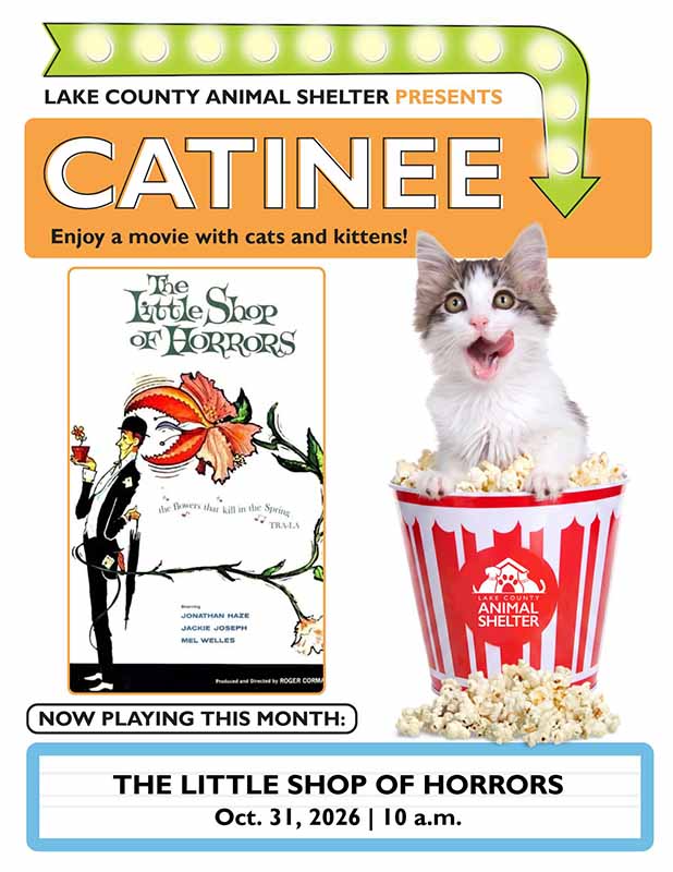 LCAS_CatineePromoFlyer