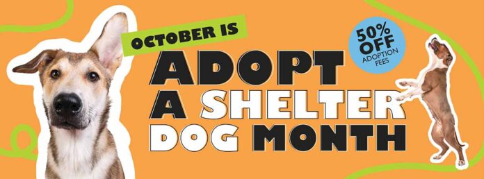 OctoberADoptaDog_WIP_FBCover